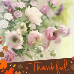 Meet your Posher, Melody